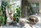 Affordable Biophilic Design Ideas for Urban Homes