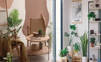 How to Incorporate Biophilic Design in Small Apartments