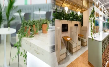 The Benefits of Biophilic Design in Modern Workplaces